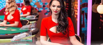 taya365legit